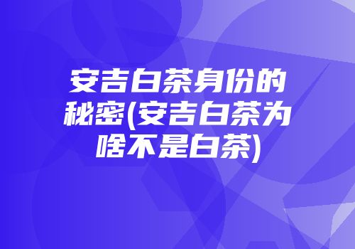 安吉白茶身份的秘密(安吉白茶为啥不是白茶)