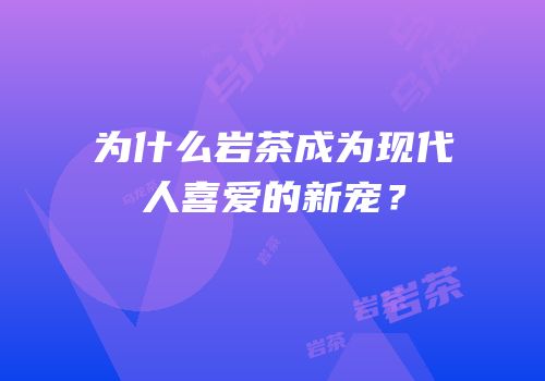 为什么岩茶成为现代人喜爱的新宠？