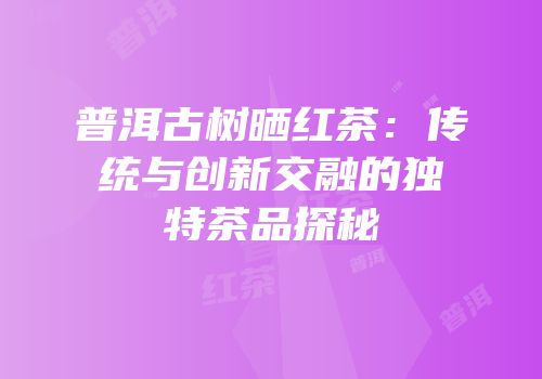 普洱古树晒红茶：传统与创新交融的独特茶品探秘