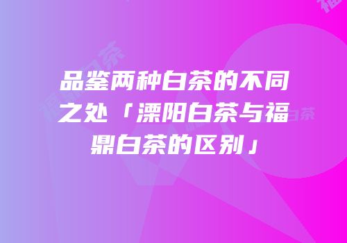 品鉴两种白茶的不同之处「溧阳白茶与福鼎白茶的区别」