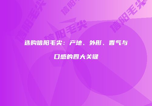 选购信阳毛尖：产地、外形、香气与口感的四大关键