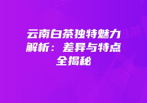 云南白茶独特魅力解析：差异与特点全揭秘