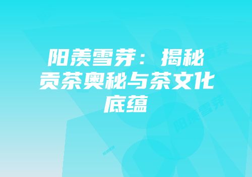 阳羡雪芽：揭秘贡茶奥秘与茶文化底蕴