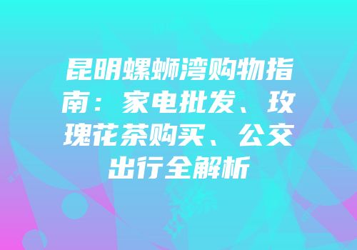 昆明螺蛳湾购物指南：家电批发、玫瑰花茶购买、公交出行全解析