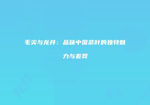 毛尖与龙井：品味中国茶叶的独特魅力与差异