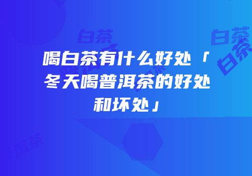 喝白茶有什么好处「冬天喝普洱茶的好处和坏处」