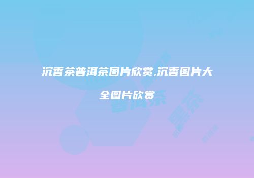 沉香茶普洱茶图片欣赏,沉香图片大全图片欣赏