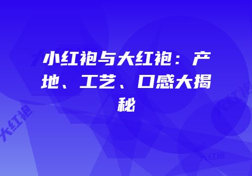 小红袍与大红袍：产地、工艺、口感大揭秘