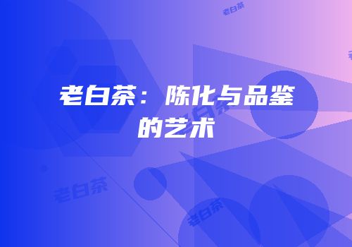 老白茶：陈化与品鉴的艺术