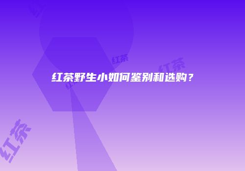 红茶野生小如何鉴别和选购？