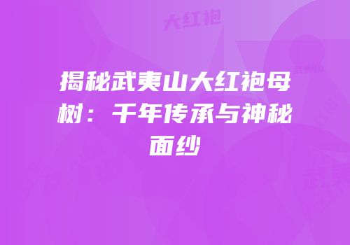 揭秘武夷山大红袍母树：千年传承与神秘面纱