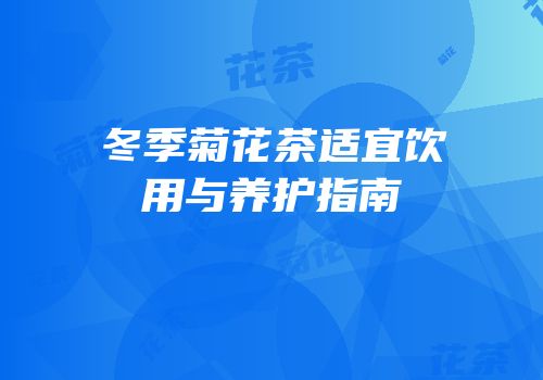 冬季菊花茶适宜饮用与养护指南