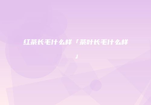 红茶长毛什么样「茶叶长毛什么样」