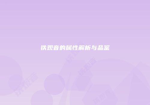 铁观音的属性解析与品鉴