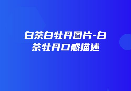 白茶白牡丹图片-白茶牡丹口感描述