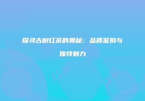 探寻古树红茶的奥秘：品质鉴别与独特魅力