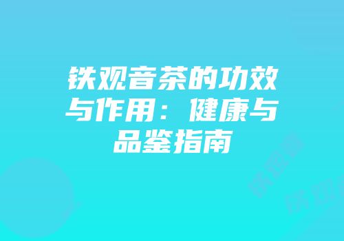 铁观音茶的功效与作用：健康与品鉴指南