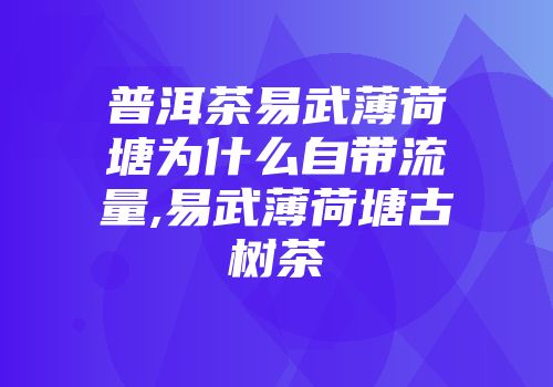 普洱茶易武薄荷塘为什么自带流量,易武薄荷塘古树茶