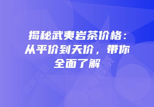 揭秘武夷岩茶价格：从平价到天价，带你全面了解