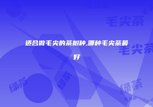 适合做毛尖的茶树种,哪种毛尖茶最好
