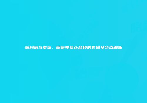 杭白菊与贡菊、胎菊等菊花品种的区别及特点解析