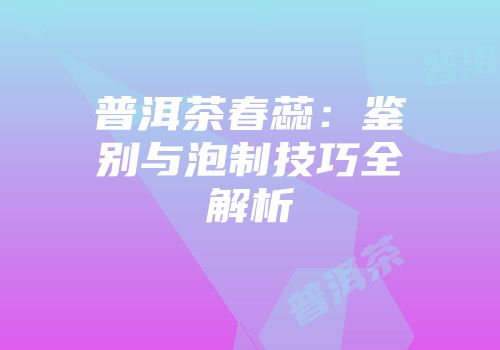 普洱茶春蕊：鉴别与泡制技巧全解析