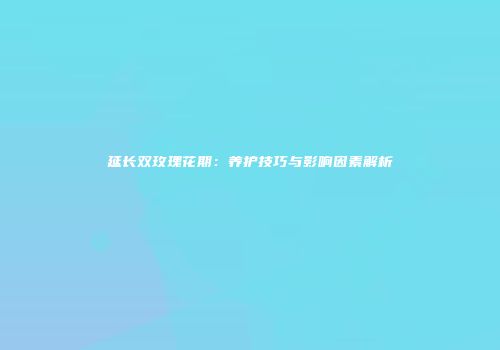 延长双玫瑰花期：养护技巧与影响因素解析