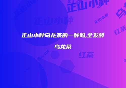 正山小种乌龙茶的一种吗,全发酵乌龙茶