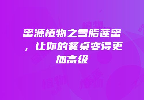 蜜源植物之雪脂莲蜜，让你的餐桌变得更加高级