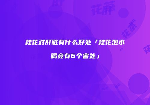 桂花对肝脏有什么好处「桂花泡水喝竟有6个害处」