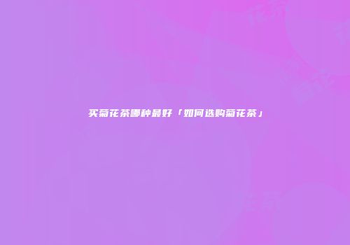买菊花茶哪种最好「如何选购菊花茶」