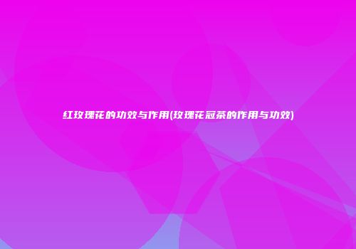 红玫瑰花的功效与作用(玫瑰花冠茶的作用与功效)