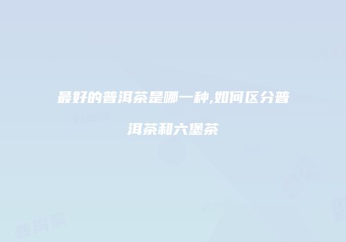 最好的普洱茶是哪一种,如何区分普洱茶和六堡茶