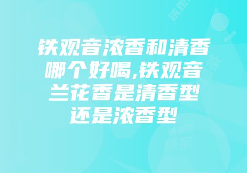 铁观音浓香和清香哪个好喝,铁观音兰花香是清香型还是浓香型