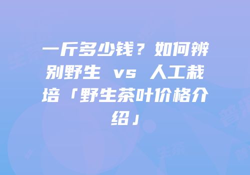 一斤多少钱？如何辨别野生 vs 人工栽培「野生茶叶价格介绍」