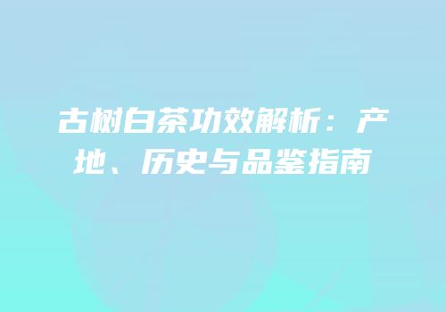 古树白茶功效解析：产地、历史与品鉴指南