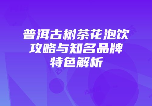 普洱古树茶花泡饮攻略与知名品牌特色解析