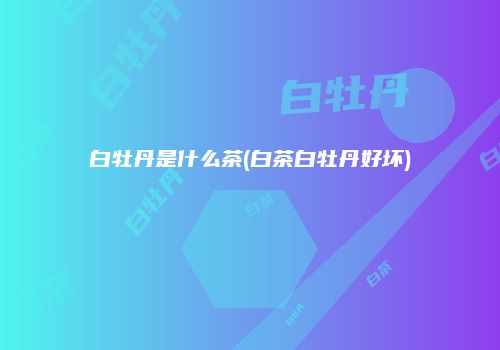 白牡丹是什么茶(白茶白牡丹好坏)