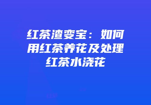红茶渣变宝：如何用红茶养花及处理红茶水浇花