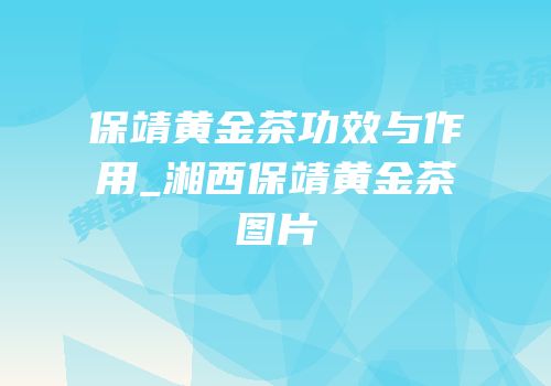 保靖黄金茶功效与作用_湘西保靖黄金茶图片
