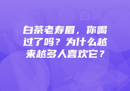 白茶老寿眉，你喝过了吗？为什么越来越多人喜欢它？