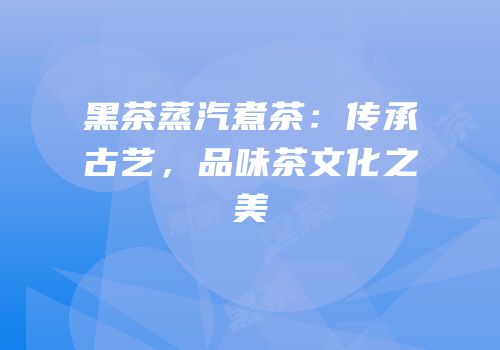 黑茶蒸汽煮茶：传承古艺，品味茶文化之美