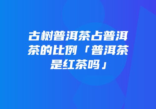 古树普洱茶占普洱茶的比例「普洱茶是红茶吗」