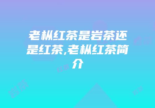 老枞红茶是岩茶还是红茶,老枞红茶简介
