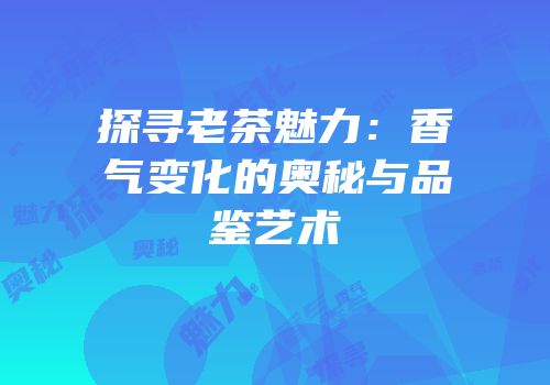 探寻老茶魅力：香气变化的奥秘与品鉴艺术