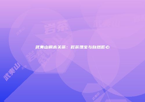 武夷山桐木关茶：岩茶瑰宝与自然匠心