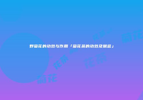 野菊花的功效与作用「菊花茶的功效及禁忌」