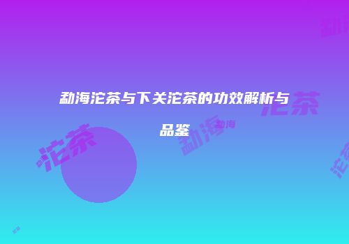 勐海沱茶与下关沱茶的功效解析与品鉴