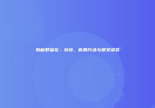 揭秘野菊花：功效、食用方法与常见误区