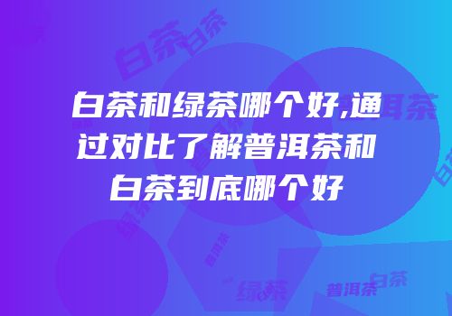 白茶和绿茶哪个好,通过对比了解普洱茶和白茶到底哪个好